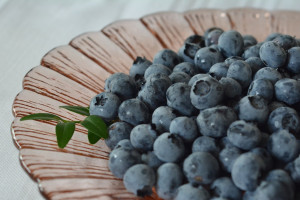 Alat Baking Praktis untuk Membuat Roti Blueberry di Rumah