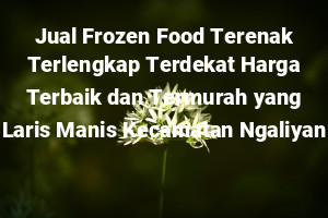 Jual Frozen Food Terenak Terlengkap Terdekat Harga Terbaik dan Termurah yang Laris Manis Kecamatan Ngaliyan