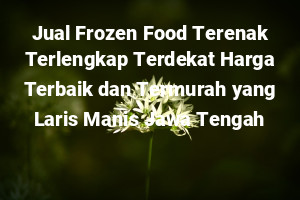 Jual Frozen Food Terenak Terlengkap Terdekat Harga Terbaik dan Termurah yang Laris Manis Jawa Tengah