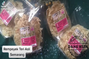Rempeyek Teri Semarang : Kelezatan Gurih yang Tak Tertandingi dengan Kualitas Terjamin
