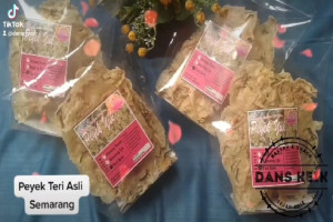 Peyek Teri Semarang : Menyelami Kelezatan dan Keunikan Kuliner Khas Jawa Tengah