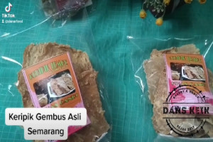 Kuliner Keripik Gembus Semarang : Menyajikan Gurihnya Tradisi dengan Kualitas Premium dan Harga Terbaik