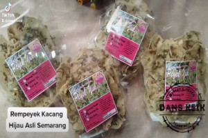Rempeyek Kacang Hijau Semarang : Lezatnya Tradisi Khas Lebaran dengan Kualitas Terjamin dan Harga Terbaik