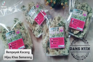 Rempeyek Kacang Hijau Semarang : Lezatnya Gurih yang Berkualitas dengan Harga Terbaik dari Jawa Tengah