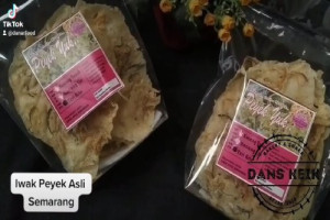 Wajib Dibawa Pulang : Iwak Peyek Semarang, Oleh-Oleh Klasik dengan Harga Terjangkau