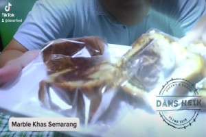 Marble Cake Semarang Lezatnya Tradisi dalam Setiap Gigitan : Karya Kuliner Berkelas dari Kota Semarang