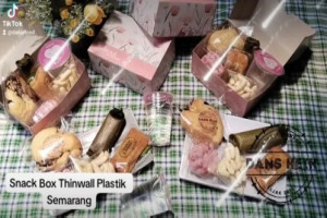 Jual Snack Box Thinwall Plastik Premium : Enak, Murah, Lezat, Halal, Higienis, dan Ekonomis di Semarang