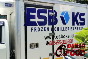 Pengiriman Frozen Food dengan Esboks Express : Solusi Terbaik untuk Produk Beku Anda